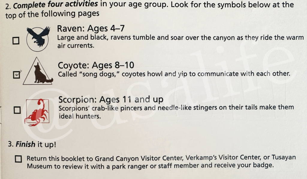 activitybook_sample